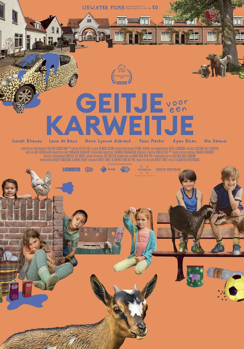 Woman in knee-length print dress walking down runway